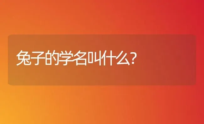 兔子的学名叫什么？ | 动物养殖问答