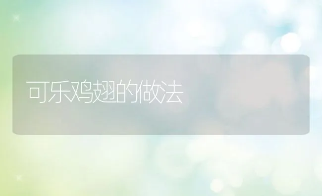 可乐鸡翅的做法 | 动物养殖学堂