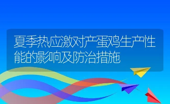 夏季热应激对产蛋鸡生产性能的影响及防治措施 | 动物养殖学堂