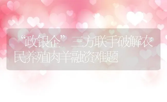 “政银企”三方联手破解农民养殖肉羊融资难题 | 动物养殖教程