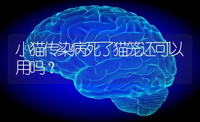 小猫传染病死了猫笼还可以用吗？ | 动物养殖问答