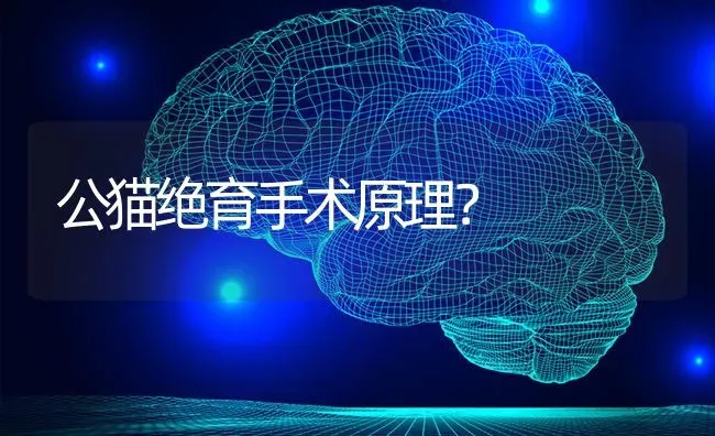 狗狗死之前对你摇尾巴是什么意思？ | 动物养殖问答