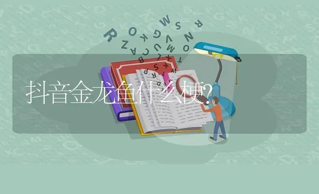 哪一种松鼠放肩上带出去不会逃温顺的粘人的比较乖的？ | 动物养殖问答