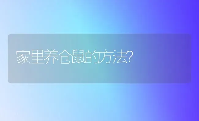 家里养仓鼠的方法？ | 动物养殖问答