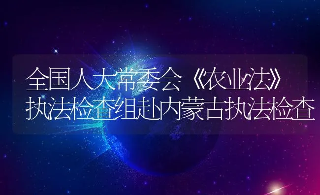 全国人大常委会《农业法》执法检查组赴内蒙古执法检查 | 动物养殖饲料