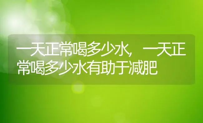 一天正常喝多少水,一天正常喝多少水有助于减肥 | 宠物百科知识