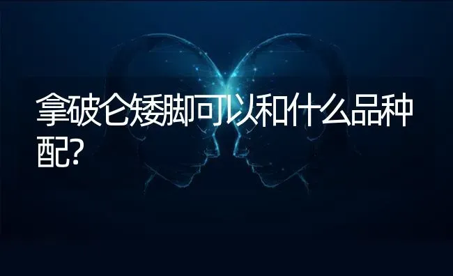 串串广告语4个字？ | 动物养殖问答