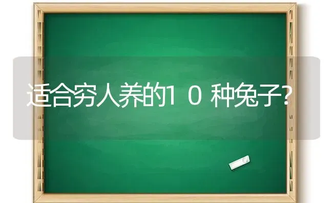 适合穷人养的10种兔子？ | 动物养殖问答