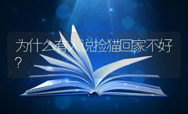 为什么有人说捡猫回家不好？ | 动物养殖问答