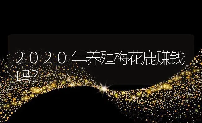 2020年养殖梅花鹿赚钱吗？ | 动物养殖百科