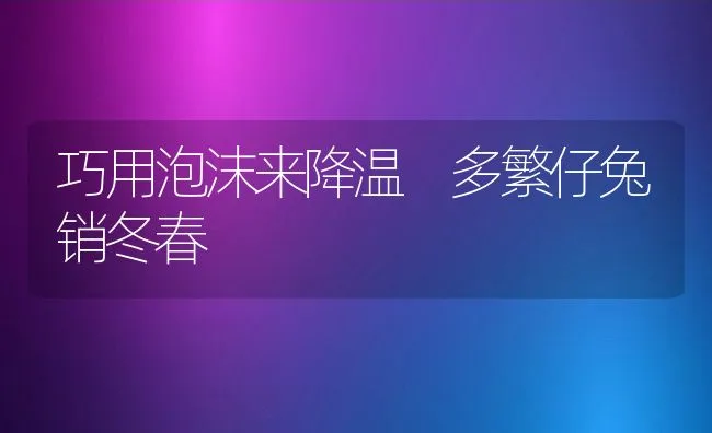 巧用泡沫来降温 多繁仔兔销冬春 | 水产养殖知识