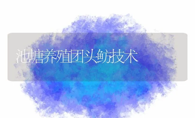 池塘养殖团头鲂技术 | 动物养殖饲料