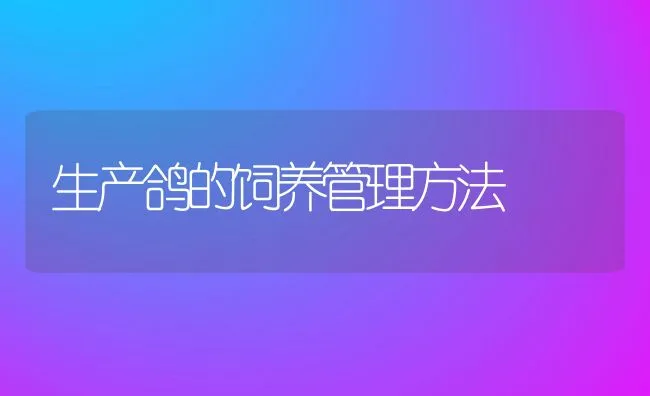 生产鸽的饲养管理方法 | 水产养殖知识