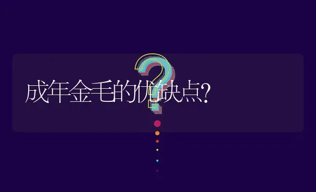 成年金毛的优缺点？ | 动物养殖问答