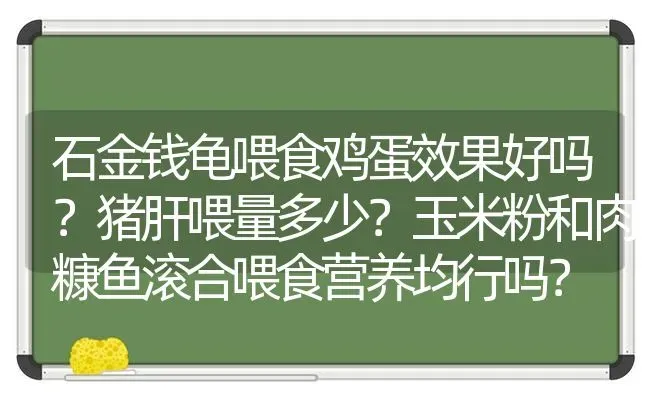 石金钱龟喂食鸡蛋效果好吗？猪肝喂量多少？玉米粉和肉糠鱼滚合喂食营养均行吗？ | 动物养殖问答