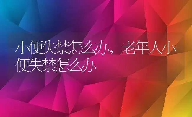 小便失禁怎么办,老年人小便失禁怎么办 | 宠物百科知识