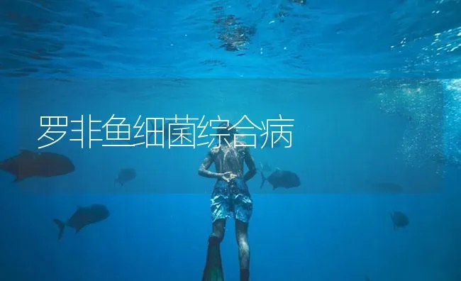 罗非鱼细菌综合病 | 海水养殖技术