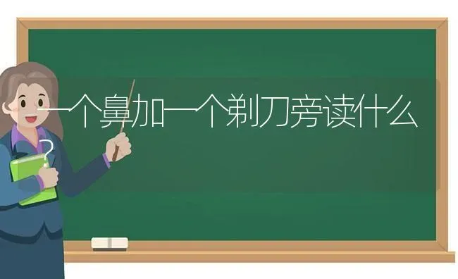 一个鼻加一个剃刀旁读什么？ | 动物养殖问答