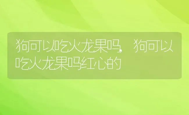 狗可以吃火龙果吗,狗可以吃火龙果吗红心的 | 宠物百科知识