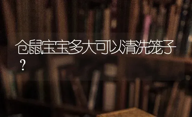 仓鼠宝宝多大可以清洗笼子？ | 动物养殖问答