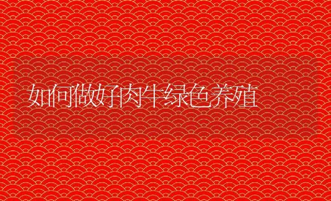 如何做好肉牛绿色养殖 | 动物养殖学堂