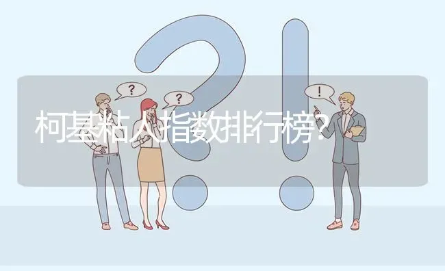 柯基粘人指数排行榜？ | 动物养殖问答