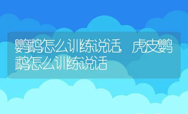 鹦鹉怎么训练说话,虎皮鹦鹉怎么训练说话 | 宠物百科知识