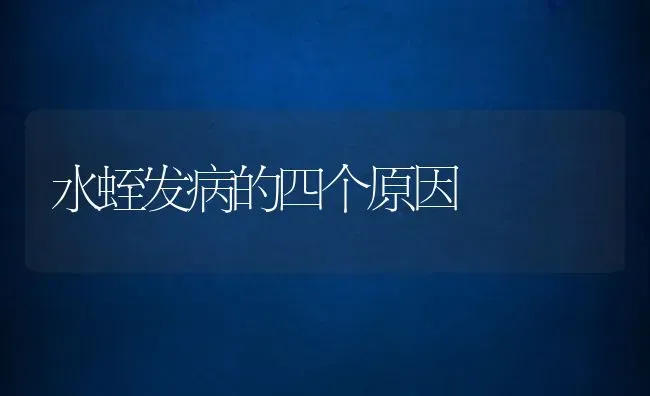 水蛭发病的四个原因 | 动物养殖百科