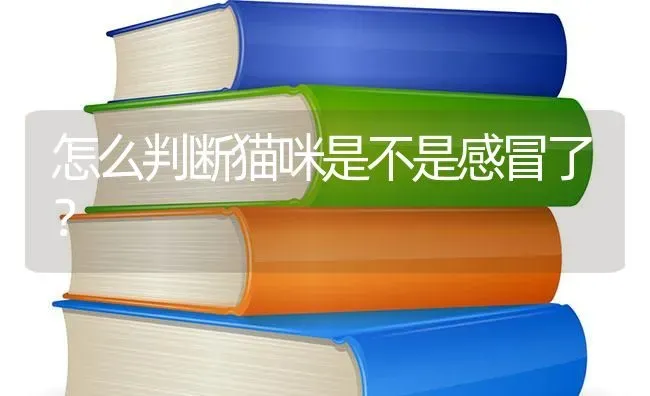 怎么判断猫咪是不是感冒了？ | 动物养殖问答