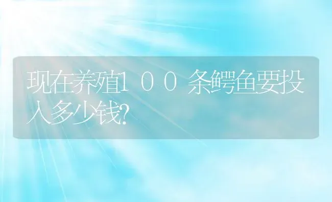 现在养殖100条鳄鱼要投入多少钱？ | 动物养殖百科