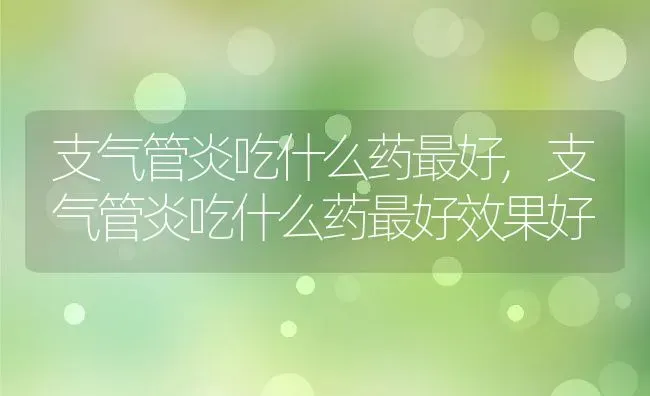 支气管炎吃什么药最好,支气管炎吃什么药最好效果好 | 宠物百科知识