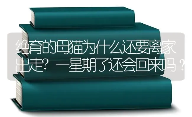 绝育的母猫为什么还要离家出走?一星期了还会回来吗？ | 动物养殖问答