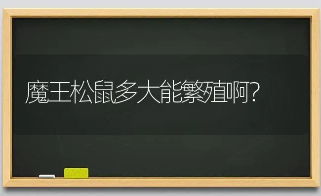 魔王松鼠多大能繁殖啊？ | 动物养殖问答