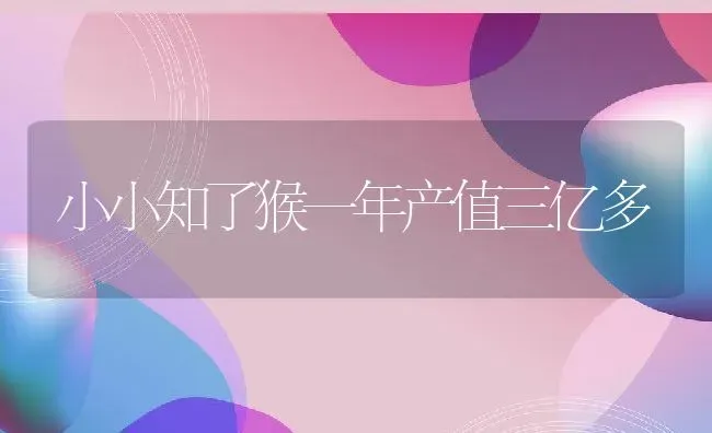 小小知了猴一年产值三亿多 | 动物养殖百科