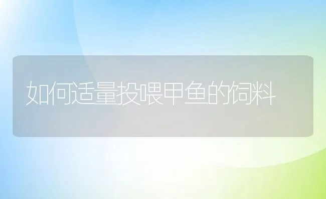 如何适量投喂甲鱼的饲料 | 动物养殖饲料