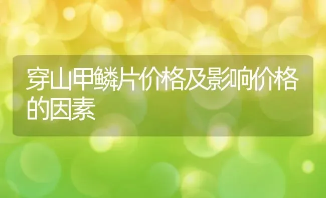 穿山甲鳞片价格及影响价格的因素 | 动物养殖百科