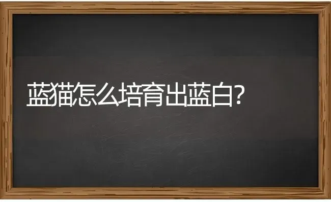 什么宠物最适合人类养？ | 动物养殖问答