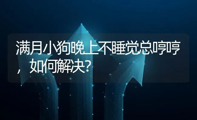 满月小狗晚上不睡觉总哼哼，如何解决？ | 动物养殖问答