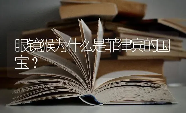 眼镜猴为什么是菲律宾的国宝？ | 动物养殖问答