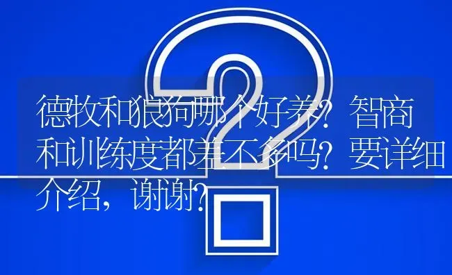 德牧和狼狗哪个好养？智商和训练度都差不多吗？要详细介绍，谢谢？ | 动物养殖问答