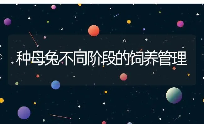 详解蛋用鹌鹑饲养技术 | 动物养殖学堂