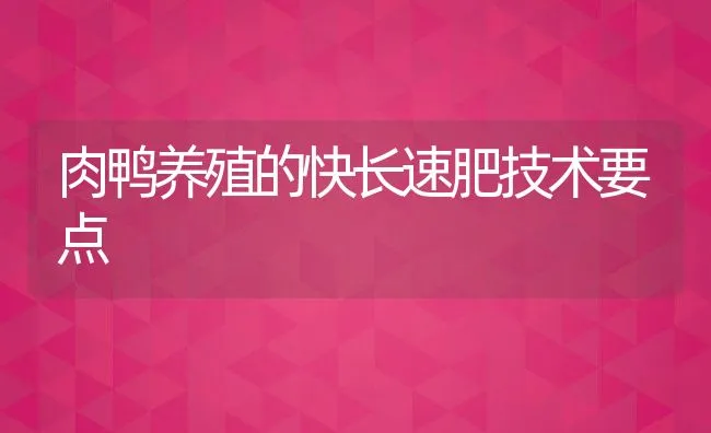 肉鸭养殖的快长速肥技术要点 | 动物养殖饲料