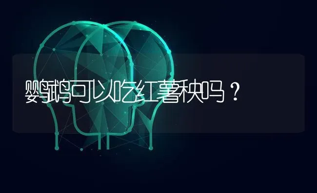 鹦鹉可以吃红薯秧吗？ | 动物养殖问答