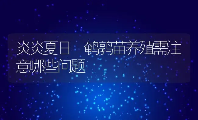 炎炎夏日 鹌鹑苗养殖需注意哪些问题 | 动物养殖教程