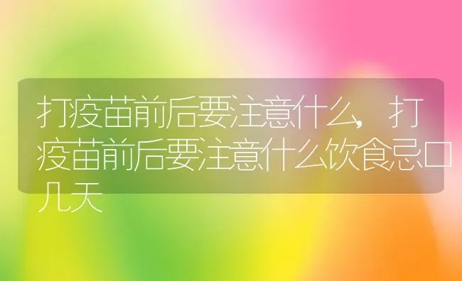 打疫苗前后要注意什么,打疫苗前后要注意什么饮食忌口几天 | 宠物百科知识