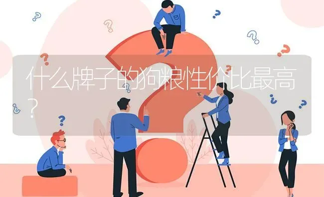 什么牌子的狗粮性价比最高？ | 动物养殖问答