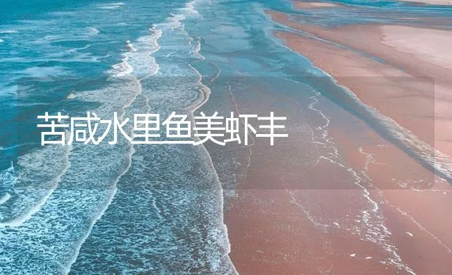 苦咸水里鱼美虾丰 | 海水养殖技术