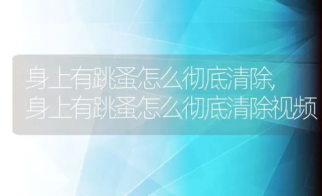 身上有跳蚤怎么彻底清除,身上有跳蚤怎么彻底清除视频 | 宠物百科知识