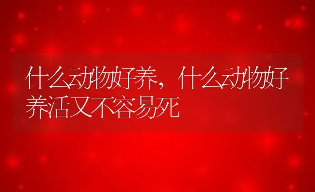 什么动物好养,什么动物好养活又不容易死 | 宠物百科知识