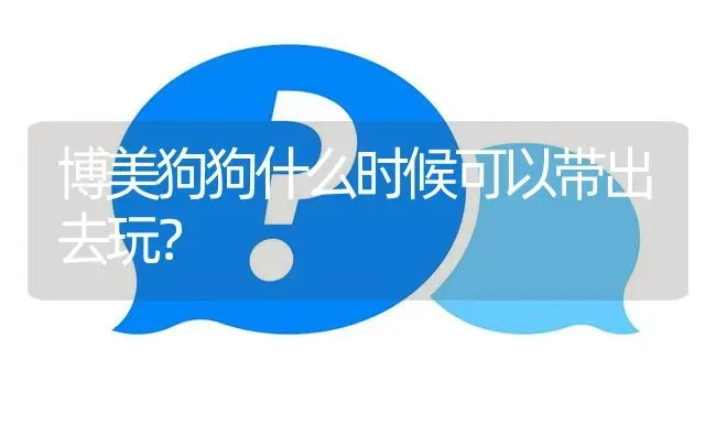 博美狗狗什么时候可以带出去玩？ | 动物养殖问答